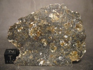 NWA 6933 - 46.26 g (Eucrite)