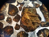 Seymchan slice - etched - 134.6 g 